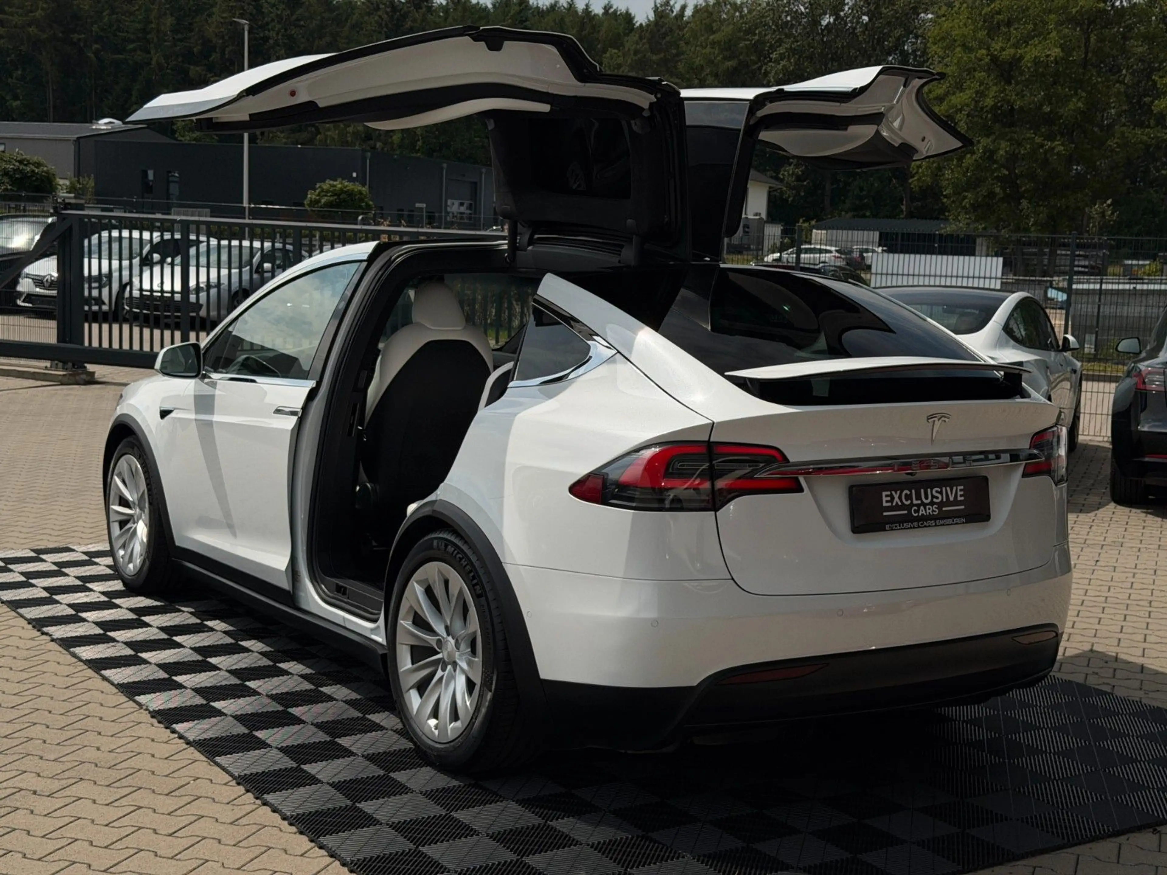 Tesla Model X MODEL X LONG RAVEN PLUS | WHITE ON WHITE | — photo 15