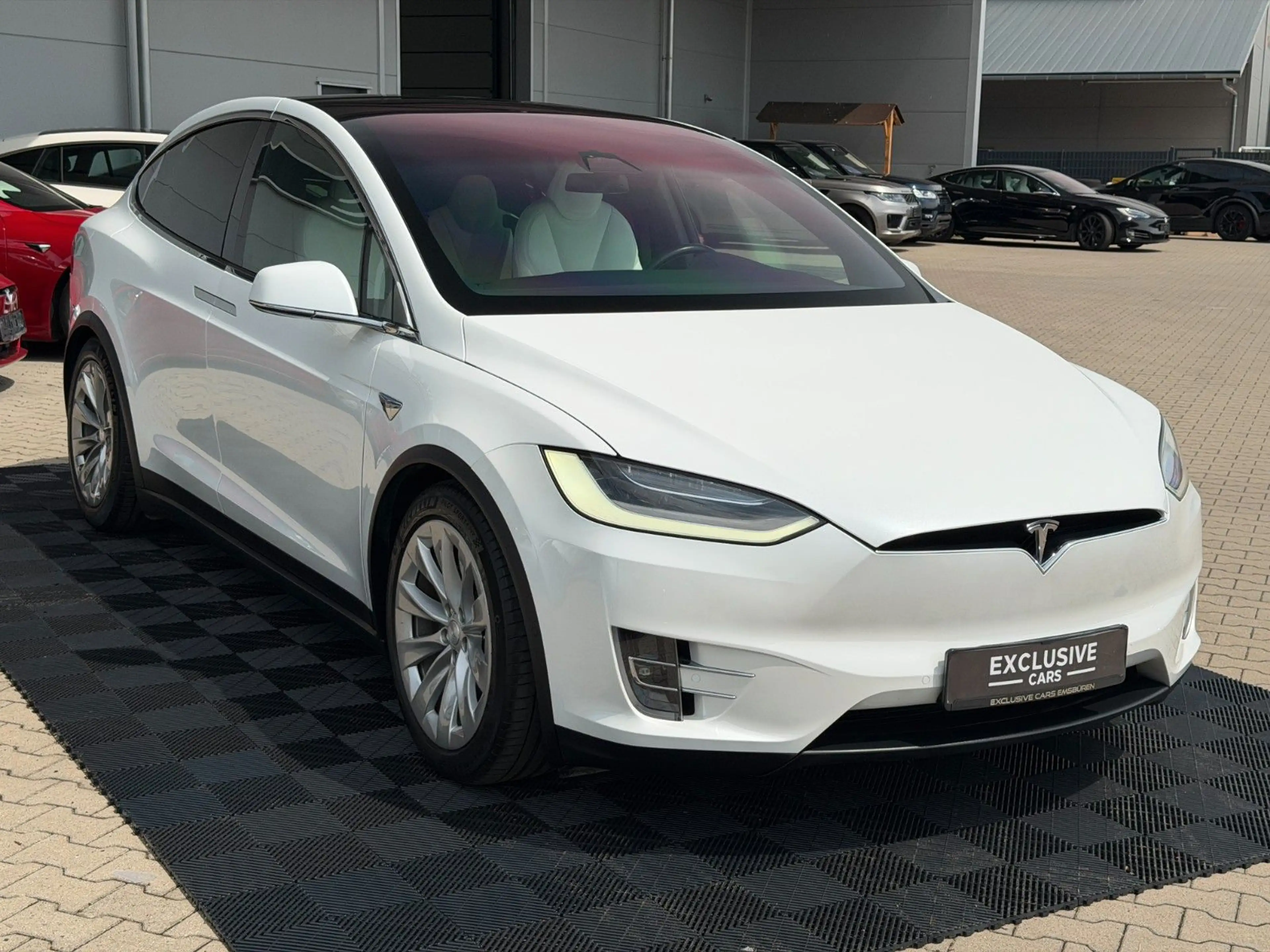 Tesla Model X MODEL X LONG RAVEN PLUS | WHITE ON WHITE | — photo 9