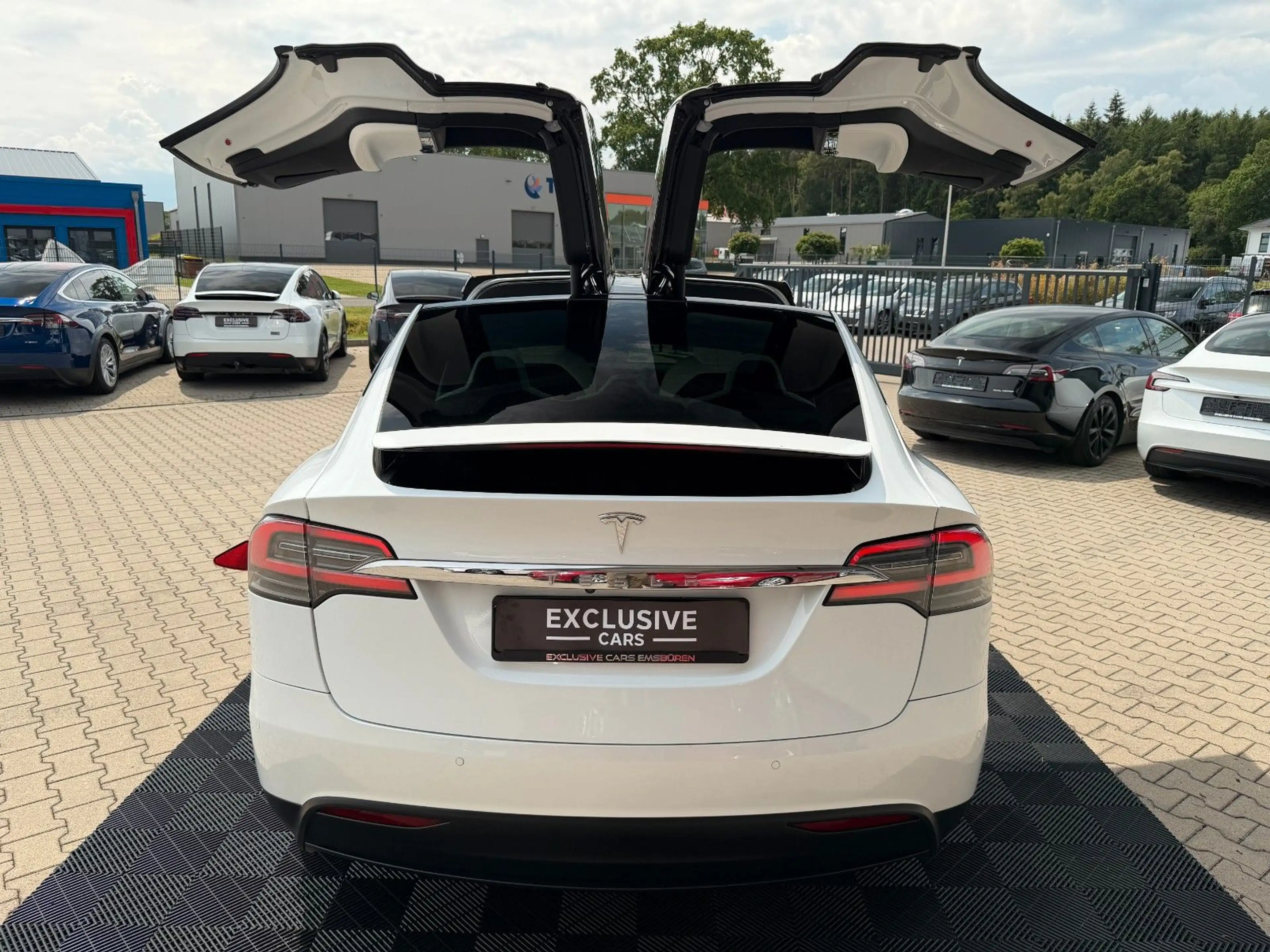 Tesla Model X MODEL X LONG RAVEN PLUS | WHITE ON WHITE | — photo 13