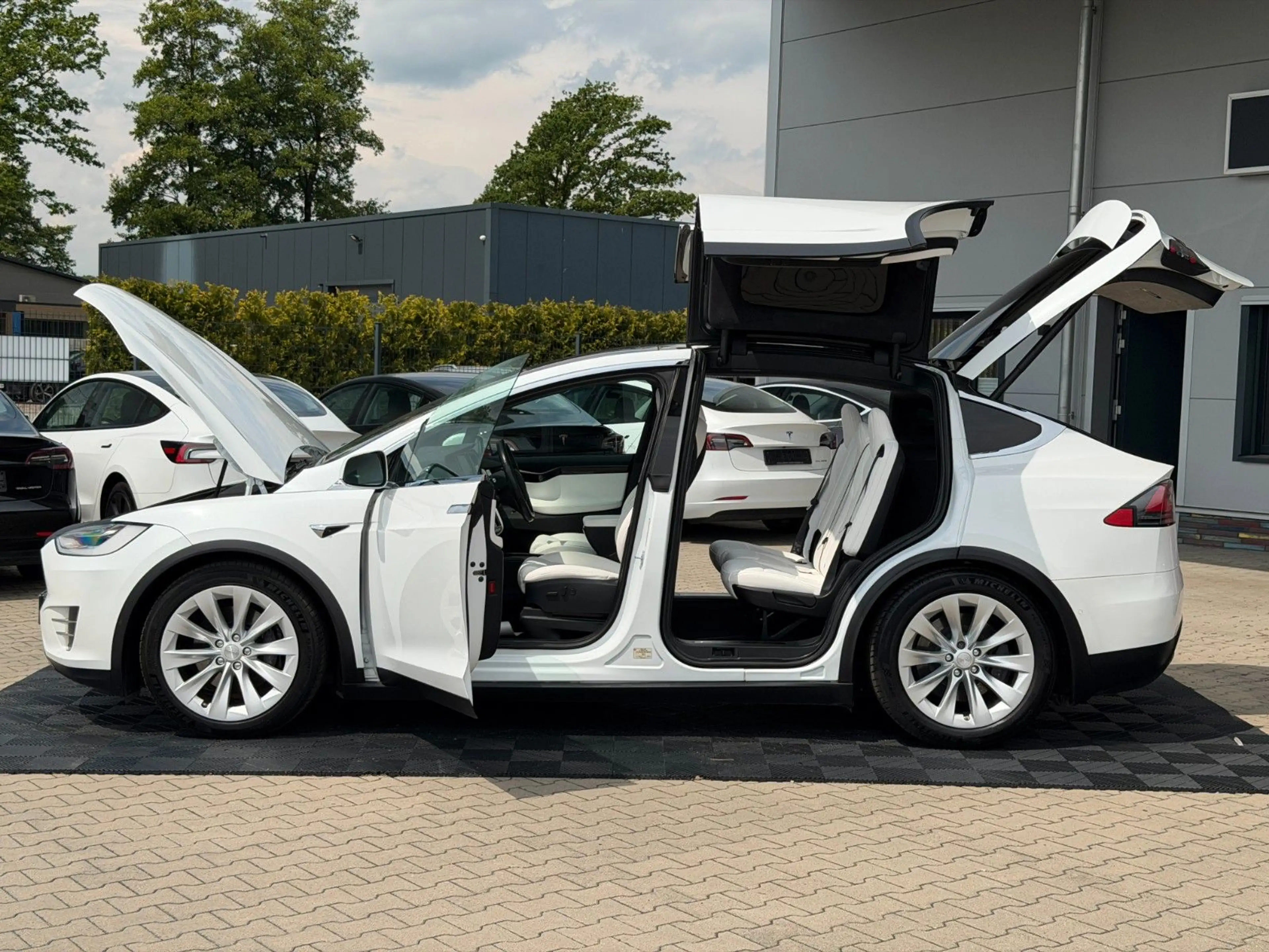 Tesla Model X MODEL X LONG RAVEN PLUS | WHITE ON WHITE | — photo 4
