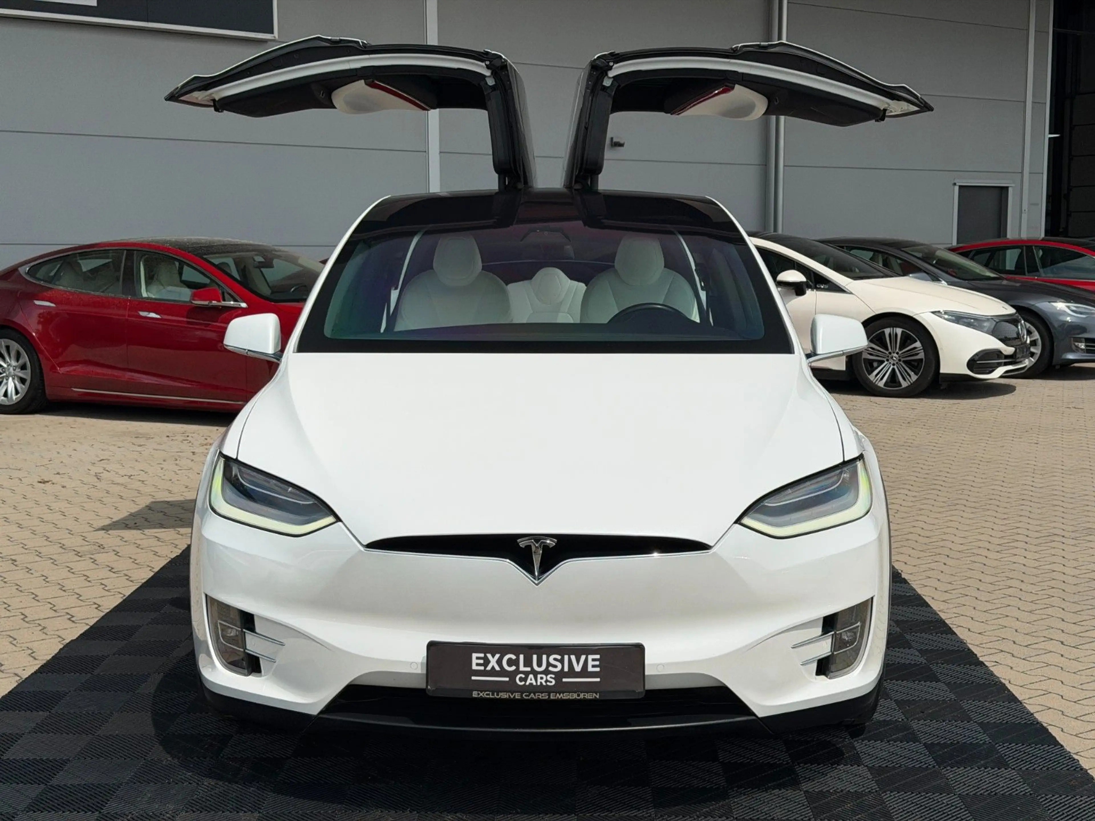 Tesla Model X MODEL X LONG RAVEN PLUS | WHITE ON WHITE | — photo 3