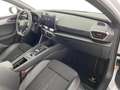 CUPRA Leon VZ eHYBRID DSG 180/245 Weiß - thumbnail 10