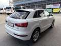 Audi Q3 !!AKTION!!Sport Quattro!!AKTION!! Weiß - thumbnail 4