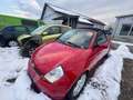 Ford Streetka 1.6 Ausschlachten Motor Getriebe OK Rot - thumbnail 1