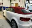 Audi A3 Cabrio 2.0 tdi S-line Attraction s-tronic - thumbnail 5