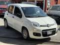 Fiat Panda 1.0 VAN hybrid Easy-70cv-IVA ESP- RATE- (+ IVA  ) - thumbnail 1