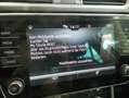Skoda Superb Style TDI DSG Grau - thumbnail 9