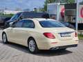 Mercedes-Benz E 220 E 220 d Avantgarde Navi Kamera LED Beige - thumbnail 8