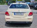 Mercedes-Benz E 220 E 220 d Avantgarde Navi Kamera LED Beige - thumbnail 6