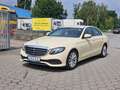 Mercedes-Benz E 220 E 220 d Avantgarde Navi Kamera LED Beige - thumbnail 1