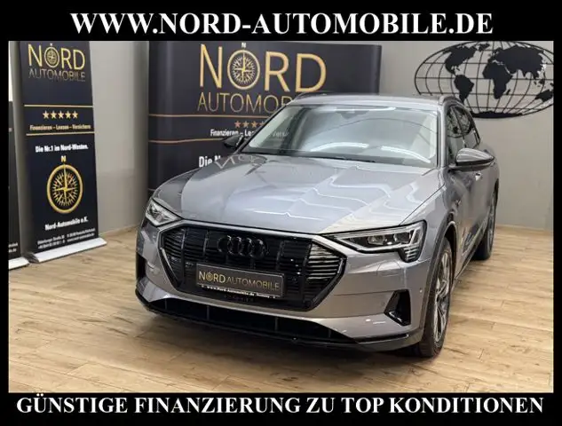 Audi e-tron 55 QU.Advanced Optik schwarz/Kamera/20/ Advanced