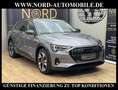 Audi e-tron 55 QU.Advanced Optik schwarz/Kamera/20/ Advanced Grau - thumbnail 3