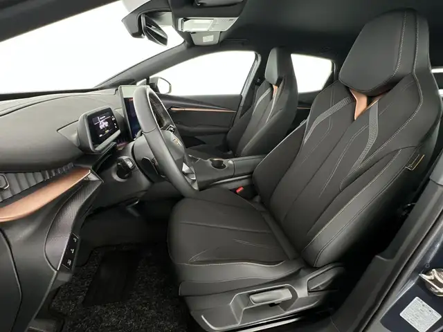 Cupra Tavascan view 10
