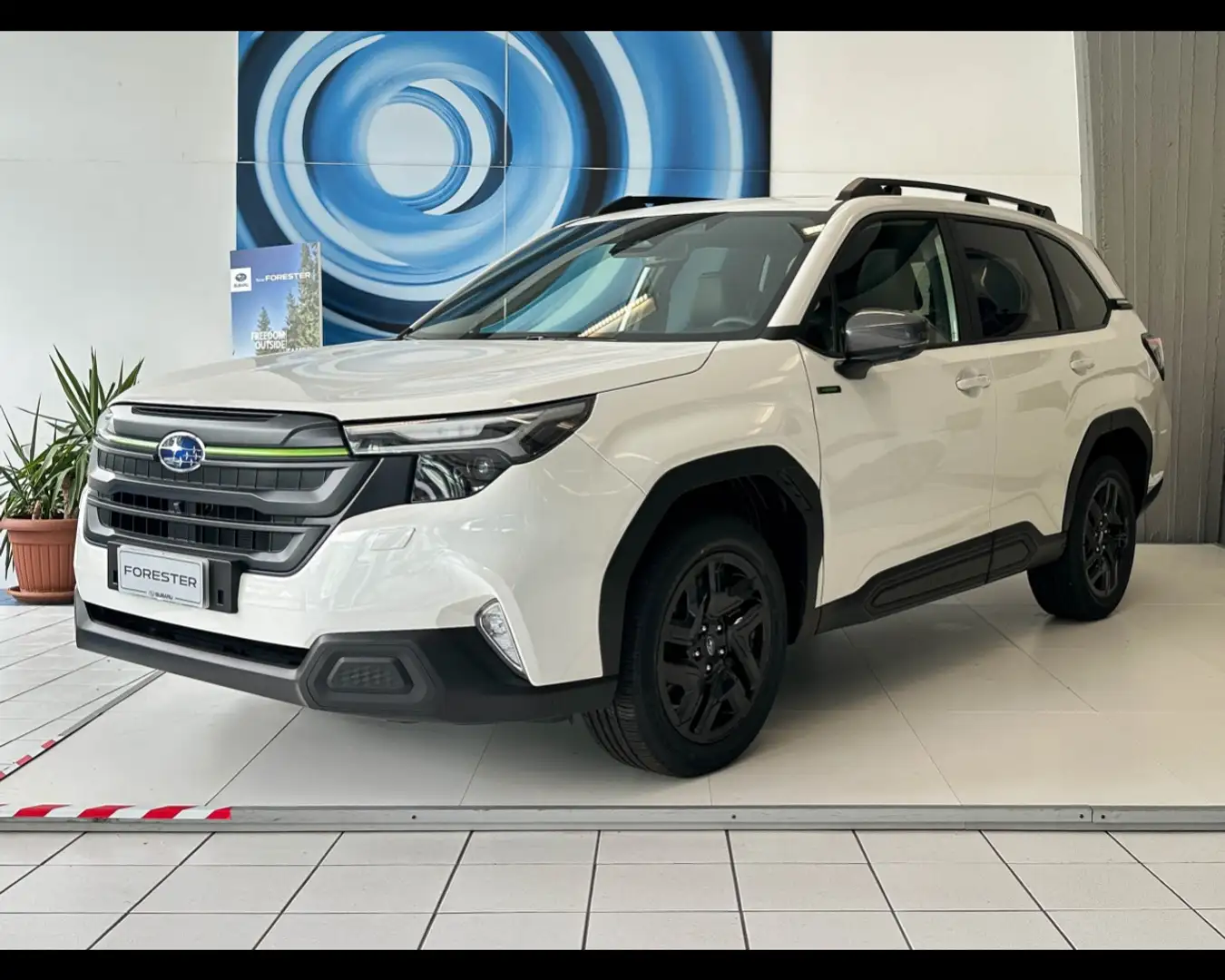 Subaru Forester MY 25 4DVENTURE Bianco - 1
