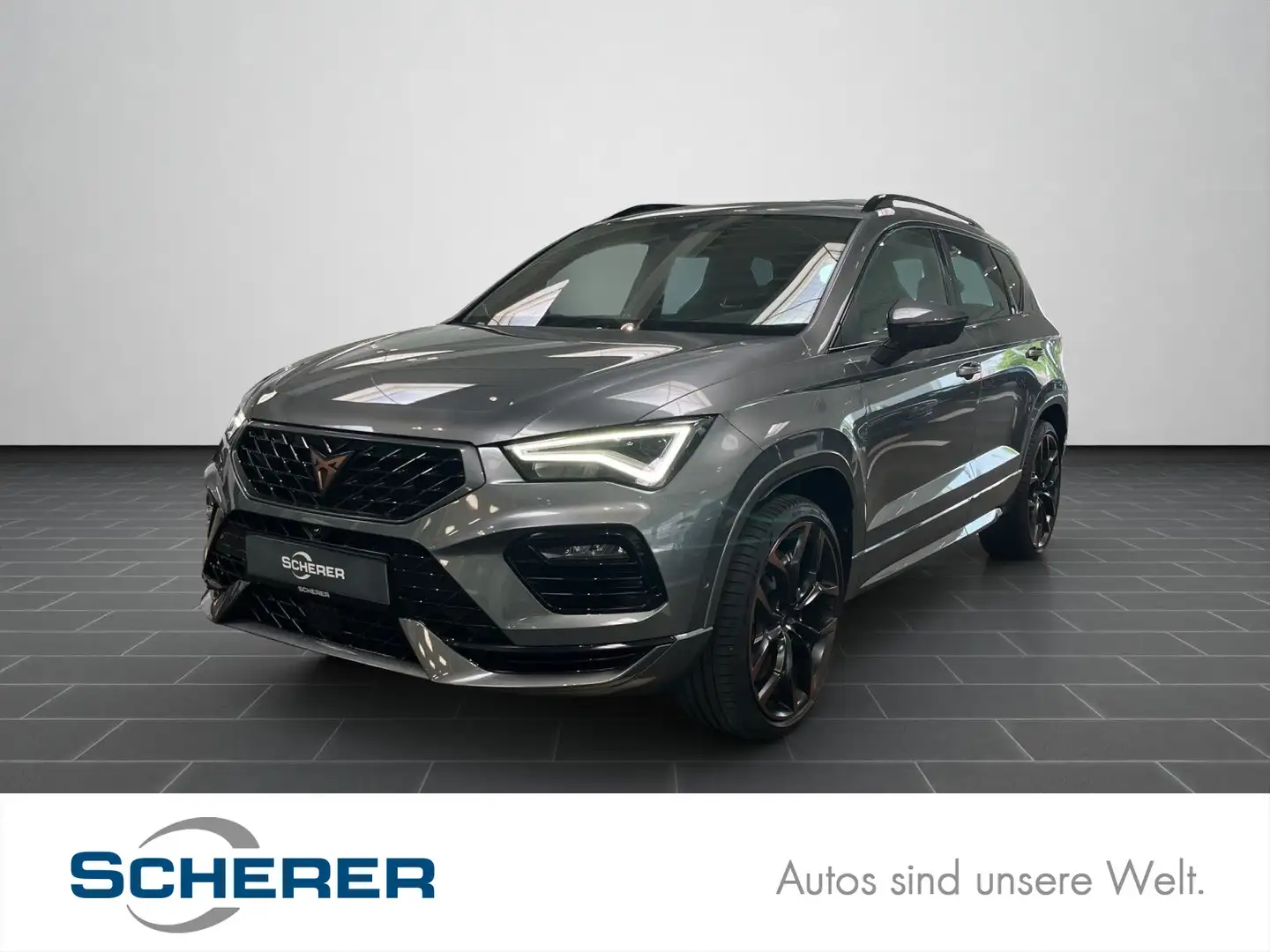 CUPRA Ateca 2.0 TSI Edition VZ DSG, Beats Audio Grau - 1