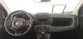 Fiat Panda 1.0 FireFly S&S Hybrid - thumbnail 7