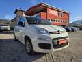 Fiat Panda 1.2 Easy Weiß - thumbnail 1