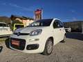 Fiat Panda 1.2 Easy Weiß - thumbnail 2