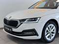 Skoda Octavia Style 2,0 TDI 4x4 DSG // LED// Virtuall // HUD Weiß - thumbnail 6