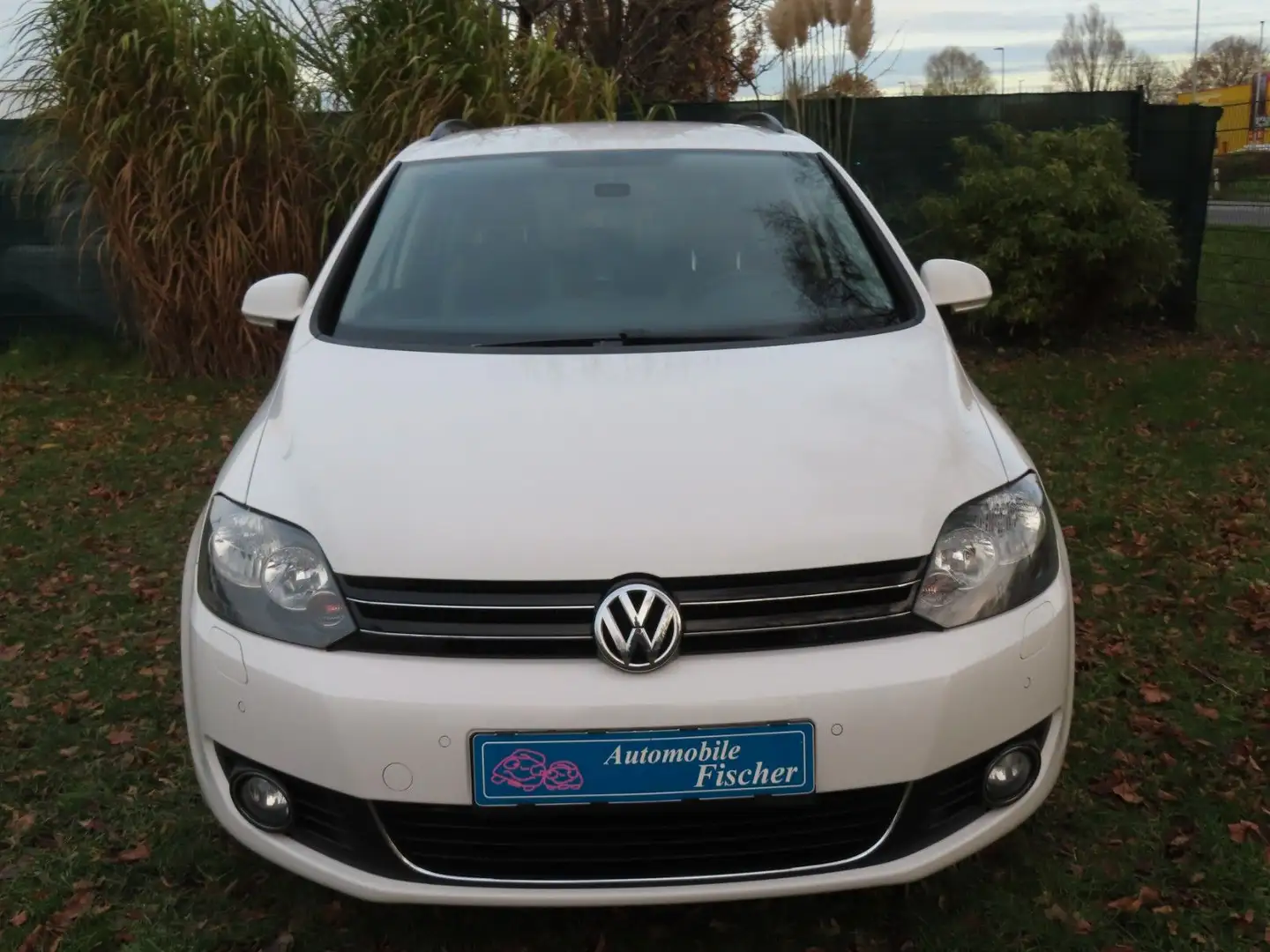 Volkswagen Golf Plus Life Rentnerfahrzeug im Top Zustand! Weiß - 2