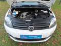 Volkswagen Golf Plus Life Rentnerfahrzeug im Top Zustand! Weiß - thumbnail 19