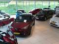 Renault Megane 1.2 TCe Bose Navi | Keyless | Climate | Cruise | P Gris - thumbnail 12