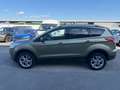 Ford Kuga 2.0 TDCi Titanium AWD Aut. Grün - thumbnail 8
