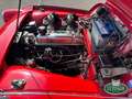 Triumph TR3 A Rosso - thumbnail 15