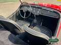 Triumph TR3 A Rosso - thumbnail 14