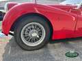 Triumph TR3 A Rosso - thumbnail 6