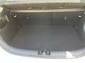 Kia Rio 1,25 MPI Titan ISG Blanc - thumbnail 19