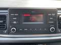 Kia Rio 1,25 MPI Titan ISG Blanc - thumbnail 15