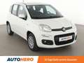 Fiat Panda 1.2 Lounge*PDC*KLIMA*GARANTIE* Weiß - thumbnail 8