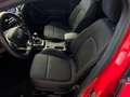 Ford Focus Focus 1.0 ecoboost ST-Line s  COME NUOVA Rouge - thumbnail 12