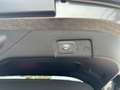 Ford Puma ST-Line Vignale; AHK; ACC Winter Paket Grau - thumbnail 8