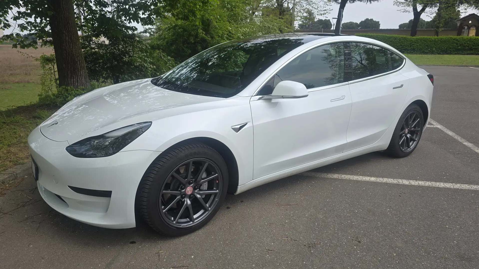 Tesla Model 3 Model 3 Standard rwd Plus Bianco - 1