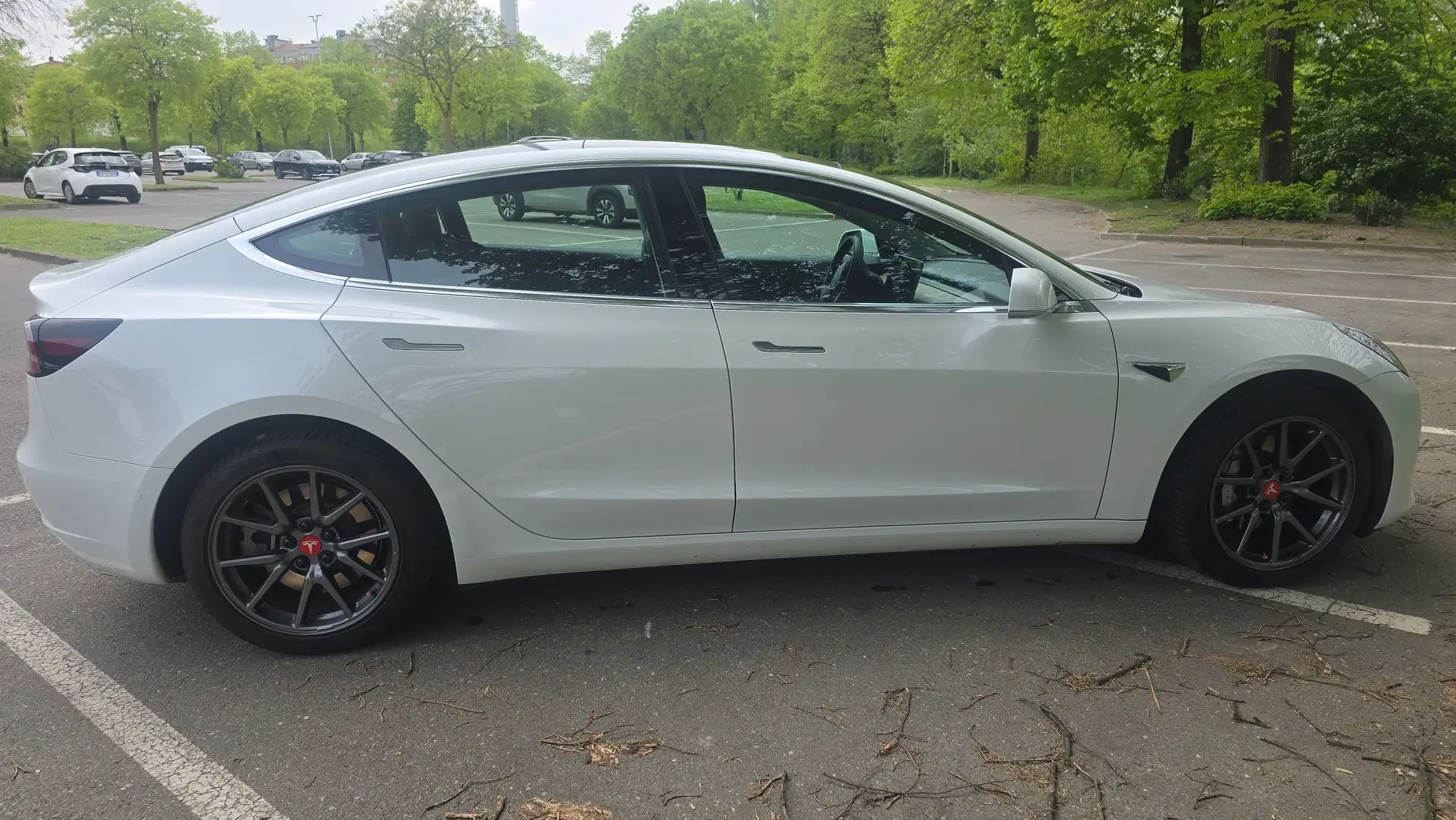 Tesla Model 3 Model 3 Standard rwd Plus Bianco - 2