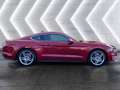 Ford Mustang Coupe 5,0L V8 **GT** perfekter Erstbesitz Rot - thumbnail 7