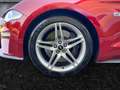 Ford Mustang Coupe 5,0L V8 **GT** perfekter Erstbesitz Rot - thumbnail 13