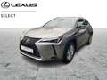 Lexus UX 250h Comfort Line Grigio - thumbnail 1