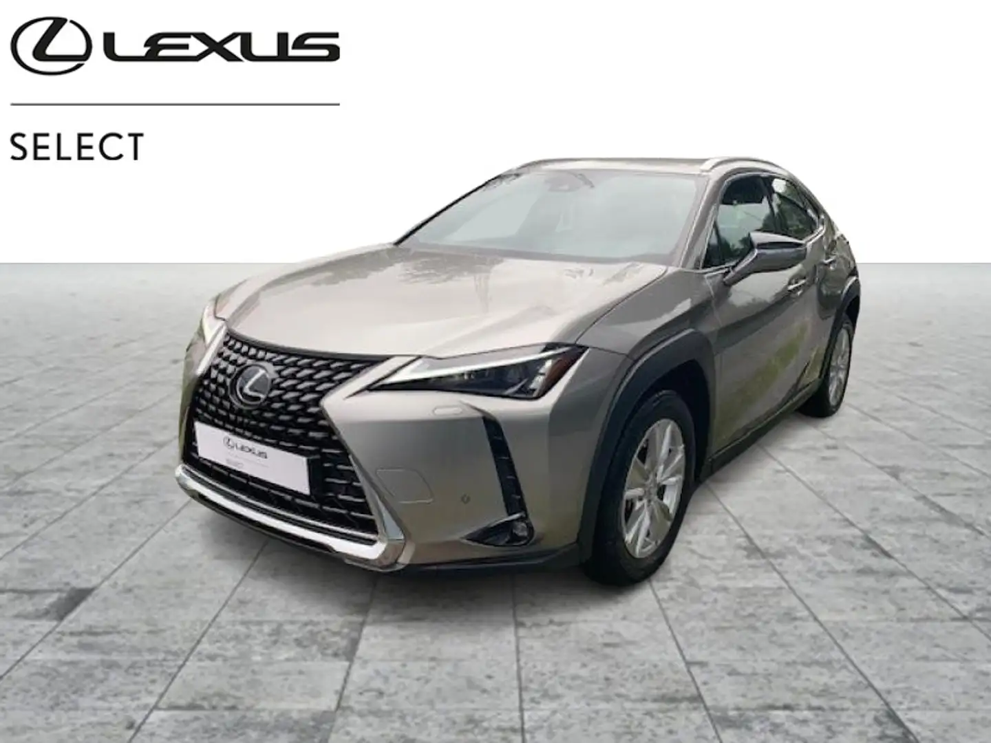 Lexus UX 250h Comfort Line Grigio - 1