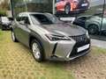 Lexus UX 250h Comfort Line Gris - thumbnail 2