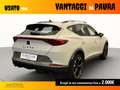 CUPRA Formentor 2.0 TSI VZ 245 CV DSG Bianco - thumbnail 7