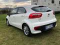 Kia Rio Rio III 2011 5p 1.2 Cool eco Gpl Bianco - thumbnail 7