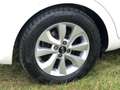 Kia Rio Rio III 2011 5p 1.2 Cool eco Gpl Bianco - thumbnail 15