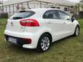 Kia Rio Rio III 2011 5p 1.2 Cool eco Gpl Bianco - thumbnail 5