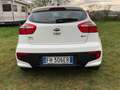 Kia Rio Rio III 2011 5p 1.2 Cool eco Gpl Bianco - thumbnail 6