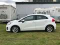 Kia Rio Rio III 2011 5p 1.2 Cool eco Gpl Bianco - thumbnail 8
