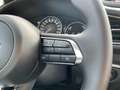 Mazda CX-30 G140 Homura Automatik Grau - thumbnail 15