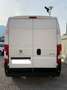 Fiat Ducato Peugeot Boxer BlueHDi 130CV L3H2 Blanc - thumbnail 5